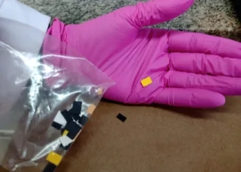 Droga semelhante a LSD é detectada pela primeira vez por perícia do RS, diz IGP