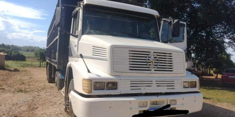 Polícia prende três pessoas envolvidas em estelionato em São Sepé