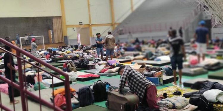 Empresa que oferecia mão de obra para vinícolas do RS rejeita acordo e nega trabalho em condições semelhantes à escravidão, diz MPT