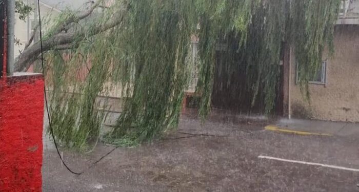 Caxias do Sul foi atingida novamente por um forte temporal no dia de ontem quarta-feira (01)