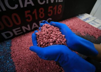 Polícia Civil de Porto Alegre faz apreensão recorde de ecstasy