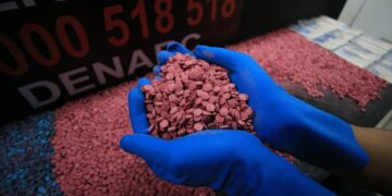Polícia Civil de Porto Alegre faz apreensão recorde de ecstasy