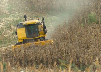 Após três anos de estiagem, especialistas projetam o retorno do El Niño ao RS