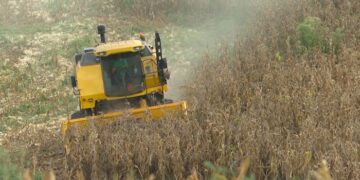 Após três anos de estiagem, especialistas projetam o retorno do El Niño ao RS