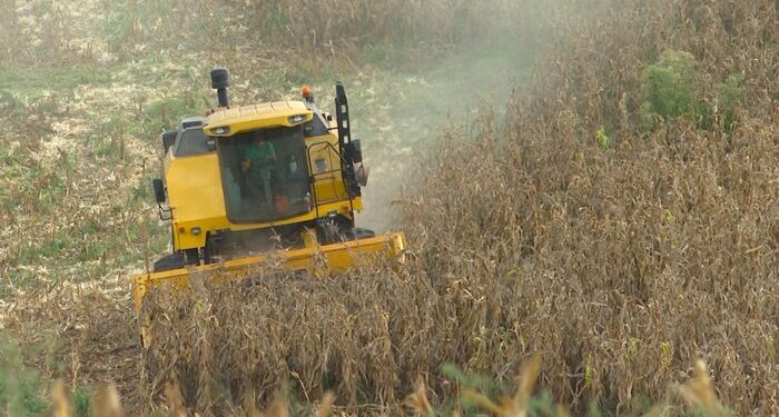 Após três anos de estiagem, especialistas projetam o retorno do El Niño ao RS