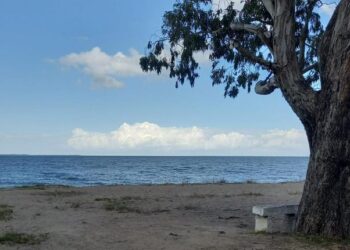 Menina de seis anos é resgatada pelos bombeiros após bote que ela estava, ser arrastado pelo vento