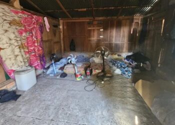 MTE tenta identificar empregadores de homens resgatados em situação de escravidão em lavouras de arroz no RS