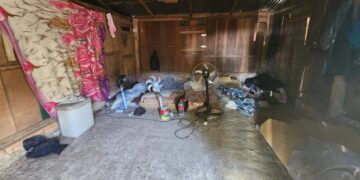 MTE tenta identificar empregadores de homens resgatados em situação de escravidão em lavouras de arroz no RS