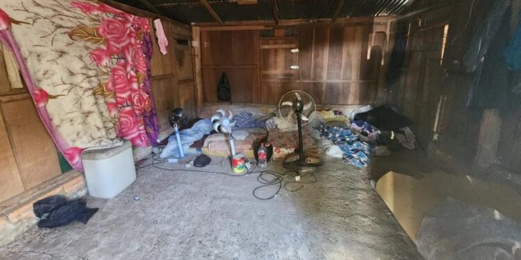 MTE tenta identificar empregadores de homens resgatados em situação de escravidão em lavouras de arroz no RS