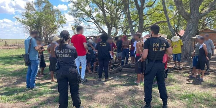 Operação em combate ao trabalho semelhante a escravidão, resgata 56 trabalhadores em Uruguaiana
