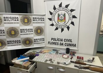 Polícia Civil e BM fazem apreensão de armas, dinheiro e prende dois homens em Flores da Cunha