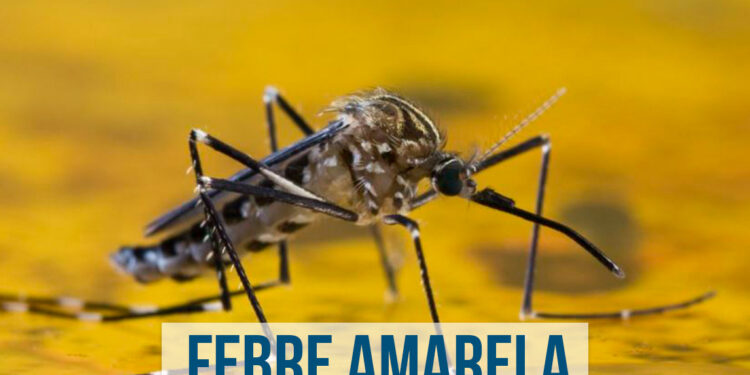 Caxias do Sul confirma caso de febre amarela
