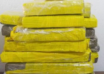 Polícia Civil apreende R$ 50 mil em maconha em São Sepé