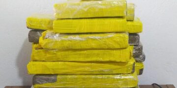Polícia Civil apreende R$ 50 mil em maconha em São Sepé