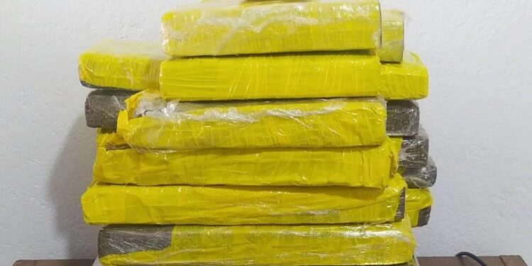 Polícia Civil apreende R$ 50 mil em maconha em São Sepé
