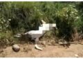 Idoso suspeito de arrastar cachorro até a morte em Bagé é preso