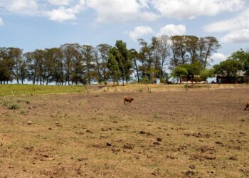 Cidades gaúchas vão receber mais R$ 701 mil para combater seca