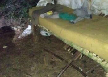 Dois homens são resgatados de trabalho análogo a escravidão em Nova Petrópolis. Polícia Federal e MTE investigam o caso