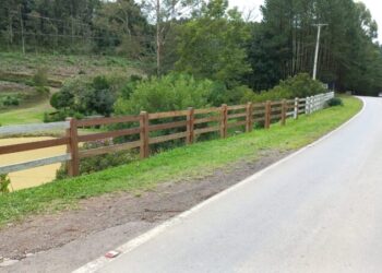 “Eu não quero tirar mais um defunto de dentro do meu açude”, alerta dona de propriedade sobre os constantes acidentes na VRS-813, em Farroupilha