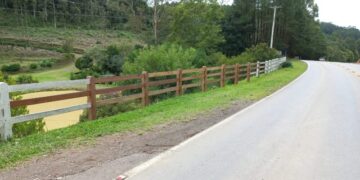 “Eu não quero tirar mais um defunto de dentro do meu açude”, alerta dona de propriedade sobre os constantes acidentes na VRS-813, em Farroupilha