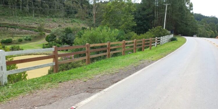 “Eu não quero tirar mais um defunto de dentro do meu açude”, alerta dona de propriedade sobre os constantes acidentes na VRS-813, em Farroupilha
