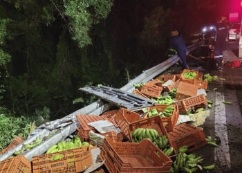 15ª Pré-romaria dos Carros Antigos acontece neste sábado no Santuário de Caravaggio