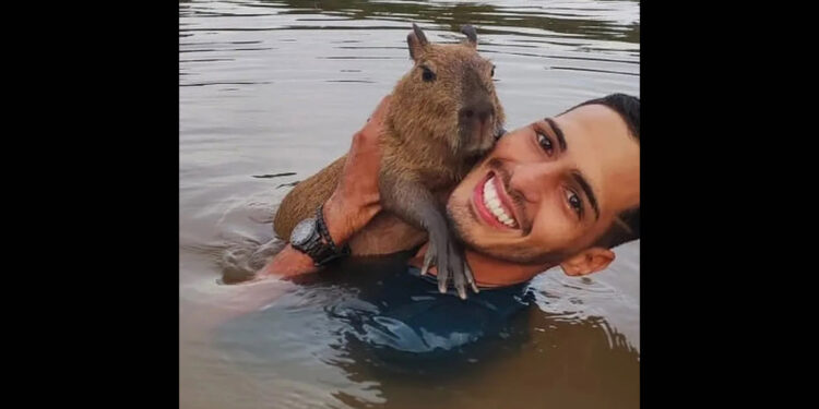 Influencer Agenor Tupinambá entrega capivara Filó ao Ibama, em Manaus