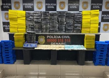 Polícia Civil faz apreensão de 257 quilos de drogas no Vale dos Sinos