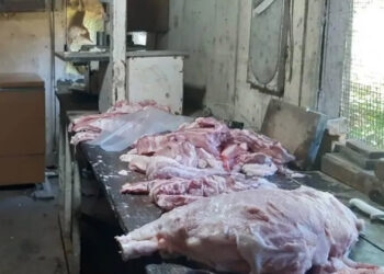 Operação apreende mais de 800 kg de produtos impróprios para consumo em Barão