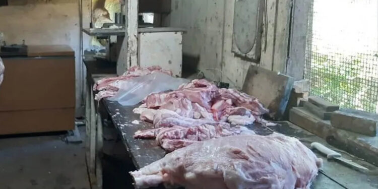 Operação apreende mais de 800 kg de produtos impróprios para consumo em Barão