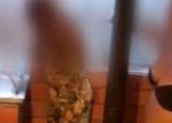 Polícia prende suspeita de manter em cárcere, torturar e obrigar mulher a fazer serviços domésticos em Gravataí