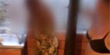 Polícia prende suspeita de manter em cárcere, torturar e obrigar mulher a fazer serviços domésticos em Gravataí