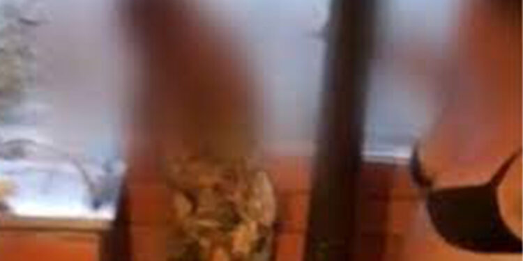 Polícia prende suspeita de manter em cárcere, torturar e obrigar mulher a fazer serviços domésticos em Gravataí