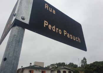 Moradores denunciam cachorros soltos na Rua Irmão Pedro Pasuch e pedem conscientização dos donos