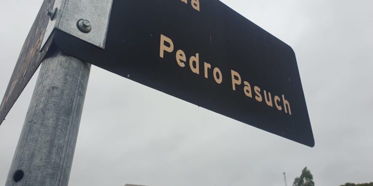 Moradores denunciam cachorros soltos na Rua Irmão Pedro Pasuch e pedem conscientização dos donos