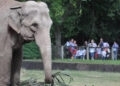 Parque Zoológico abrirá excepcionalmente na segunda (1º) para comemorar 61 anos de existência