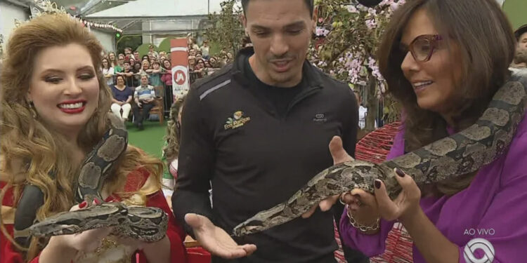 Jiboia de 1,80 metro é destaque da Femaçã de Veranópolis
