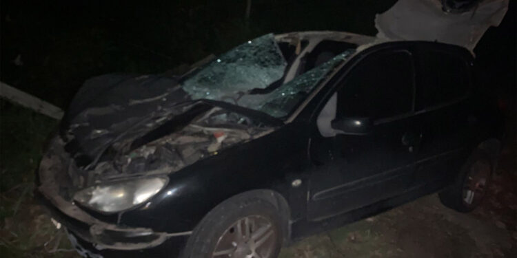 Acidente grave em Caxias do Sul: carro colide com cavalo solto na pista e deixa motorista preso às ferragens