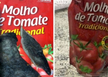 Perícia em molho de tomate recolhido em Viamão aponta presença de fungo e ovos de parasitas