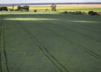 Senado aprova mudança no cálculo do preço mínimo de produtos agrícolas