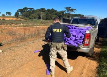 PRF apreende uma tonelada de maconha em caminhonete após perseguição em Vacaria
