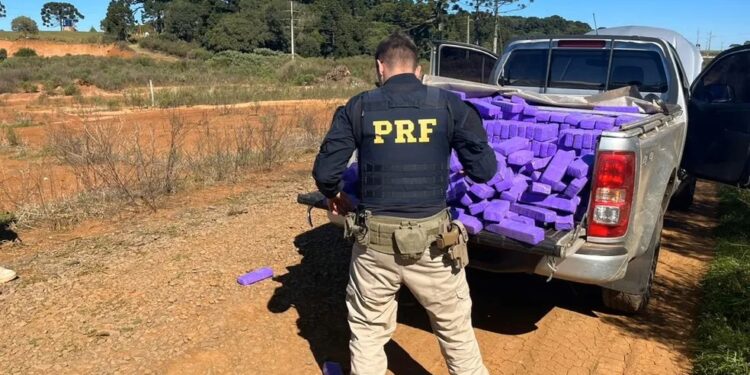 PRF apreende uma tonelada de maconha em caminhonete após perseguição em Vacaria