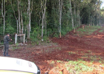 Polícia Militar flagra 87 mil metros quadrados de destruição de vegetação nativa e registra Boletim de Ocorrência Policial em Nova Bassano