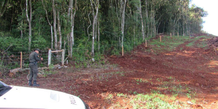 Polícia Militar flagra 87 mil metros quadrados de destruição de vegetação nativa e registra Boletim de Ocorrência Policial em Nova Bassano