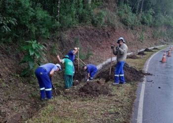 Estrada dos Romeiros em Caxias recebe limpeza e preparativos para a Romaria de Caravaggio