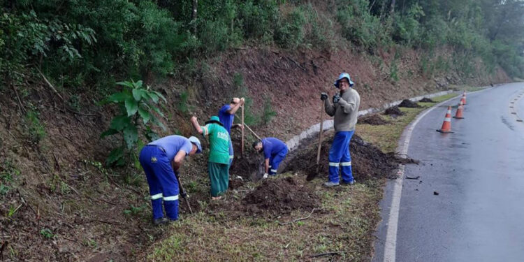 Estrada dos Romeiros em Caxias recebe limpeza e preparativos para a Romaria de Caravaggio