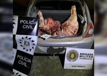 Trio é preso por furto de animais de fazenda em Dom Pedrito