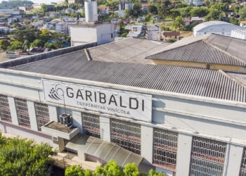 Polícia Civil investiga morte de trabalhador após cair de tanque de vinho com cerca de 11 metros de altura em Garibaldi