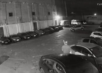 Acusado de matar cachorro a pauladas é condenado por maus-tratos em Rio Grande