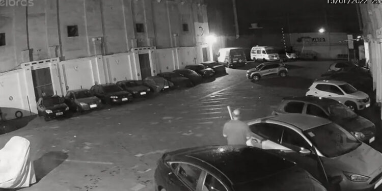 Acusado de matar cachorro a pauladas é condenado por maus-tratos em Rio Grande